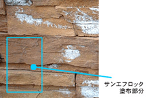 一般性状2