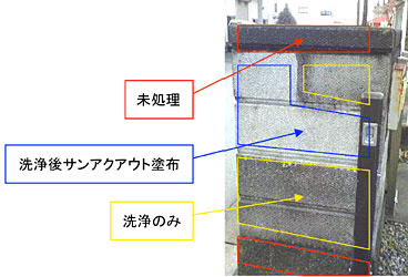 暴露試験